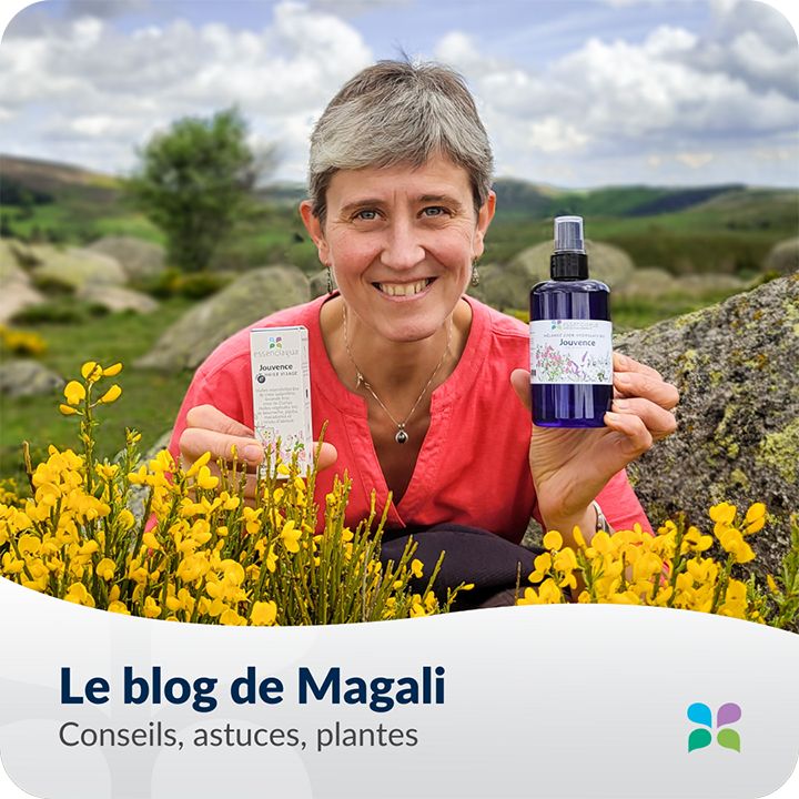 La nostra consulenza e formazione