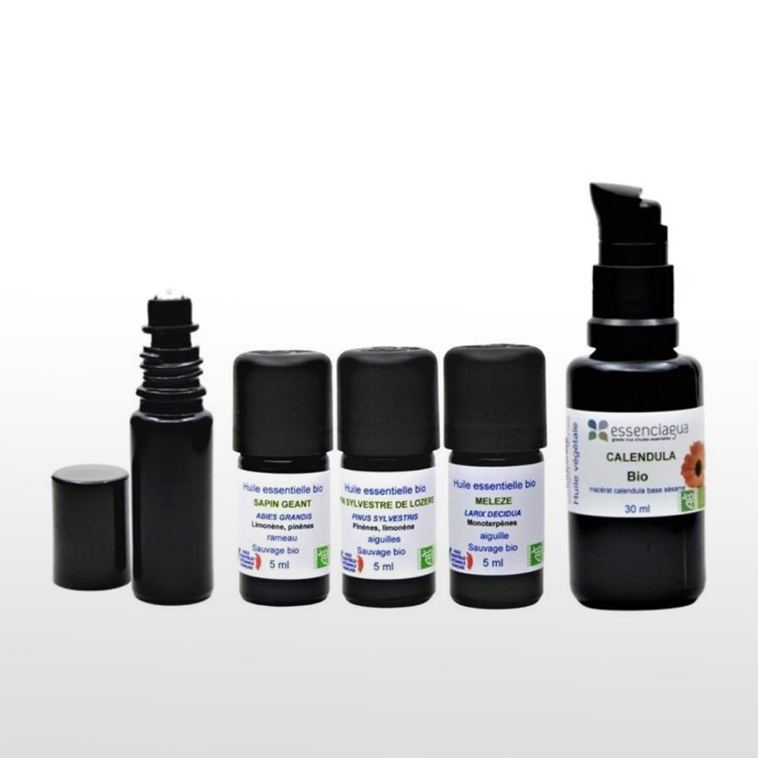 Coffret Automne Trio Sapin, Mélèze et pin sylvestre