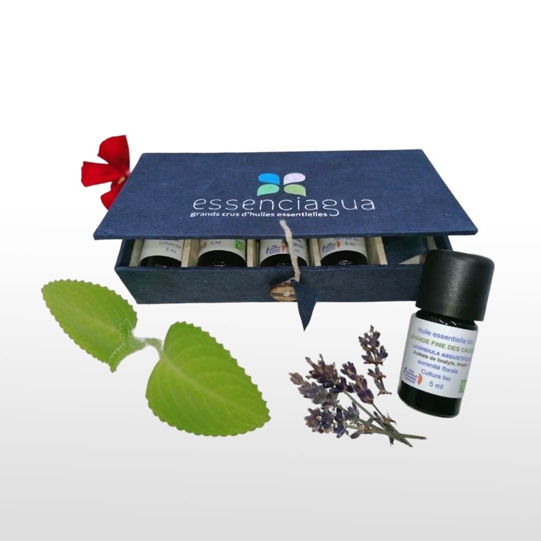 Coffret Voyage Aromatique