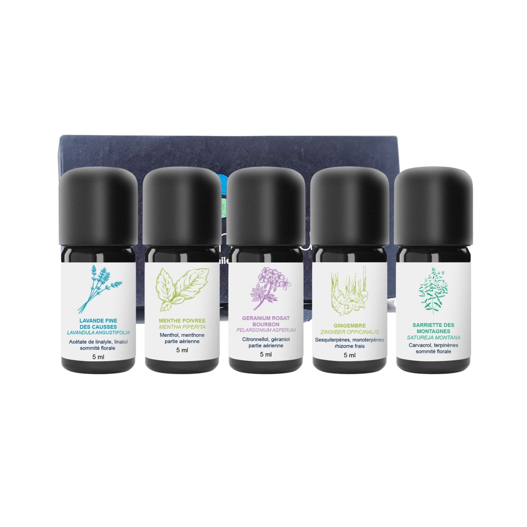 Kit Huiles Essentielles Bon Voyage 100% Bio et Artisanal
