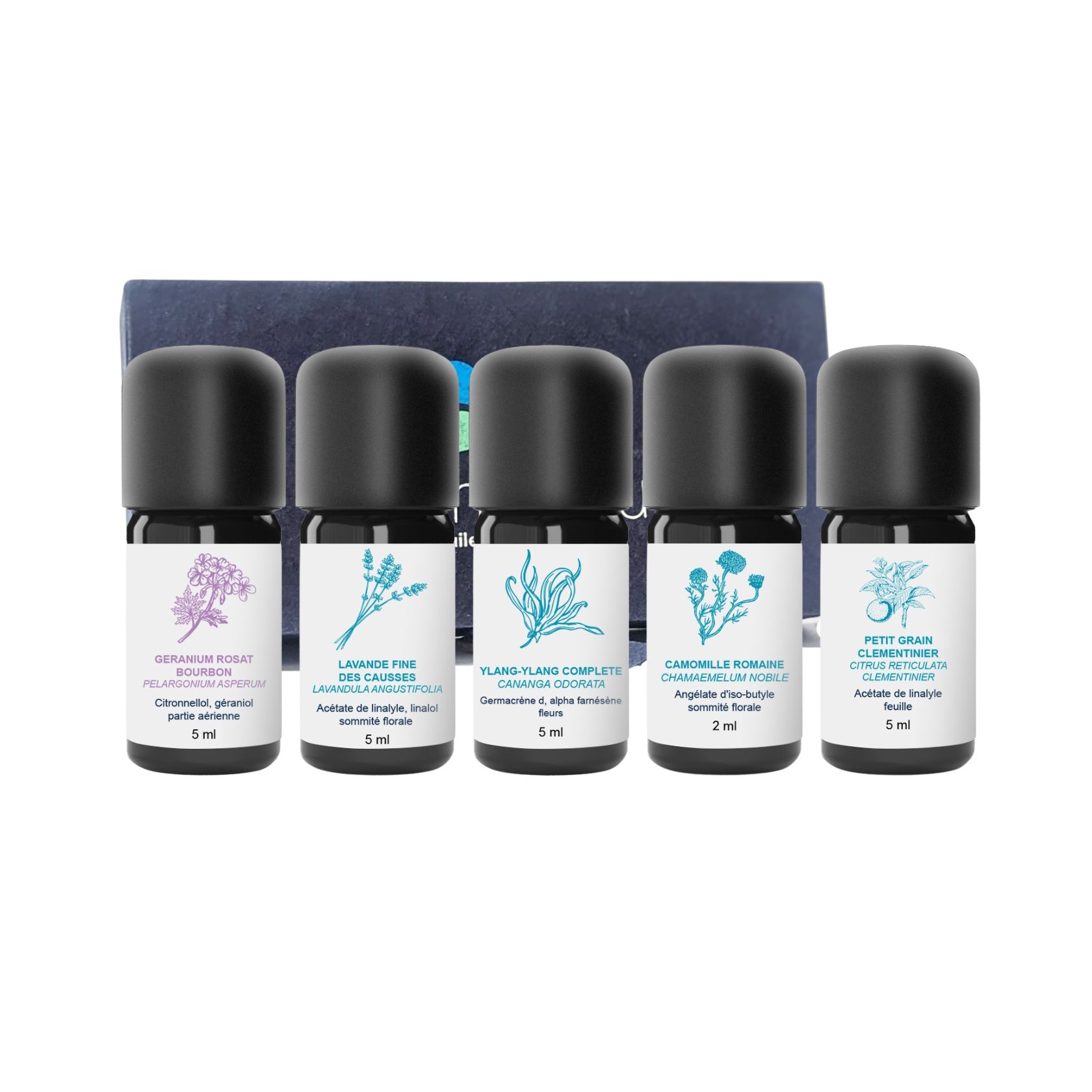 Decouvrez Kit di oli essenziali Cocooning 100% biologici e artigianali