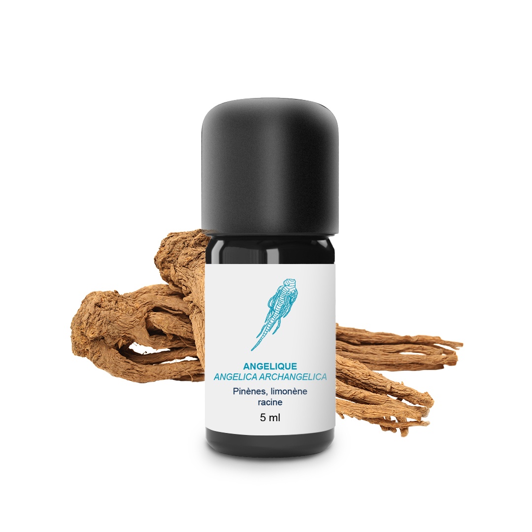 Angelica Essential Oil (Root) 100% Organic and Handcrafted