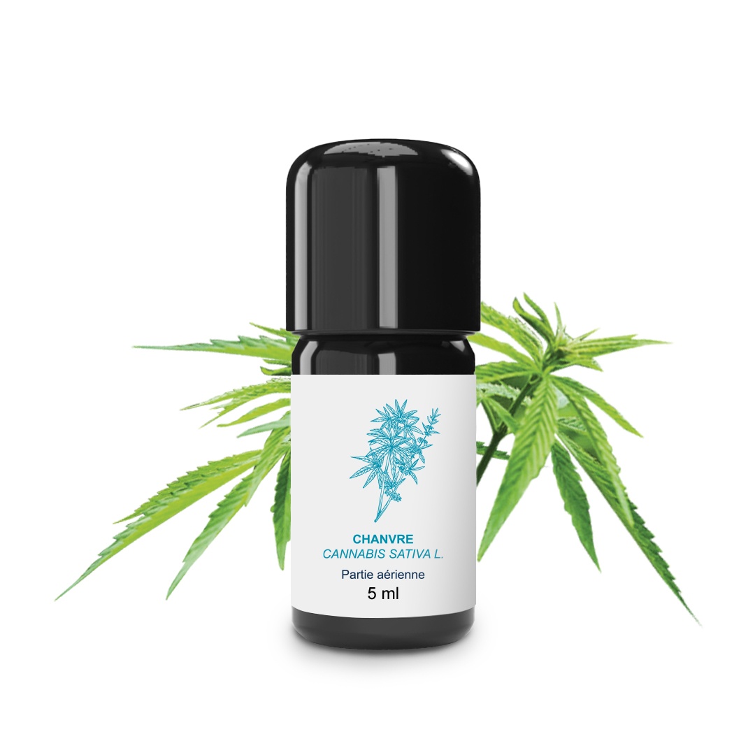 Decouvrez 100% Organic and Handcrafted Hemp Essential Oil