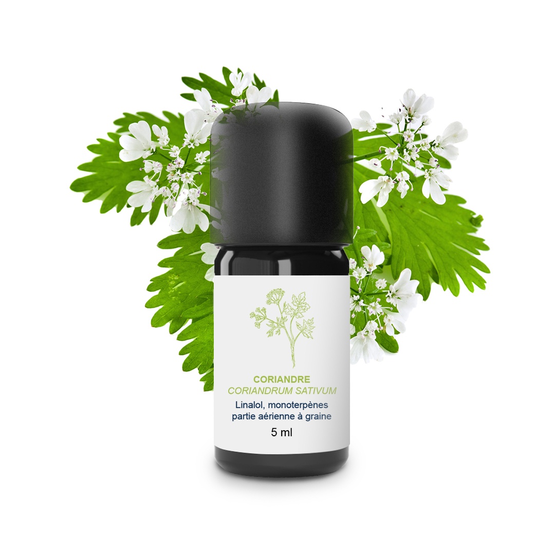 Aceite esencial de cilantro (semillas) 100% ecológico y artesanal