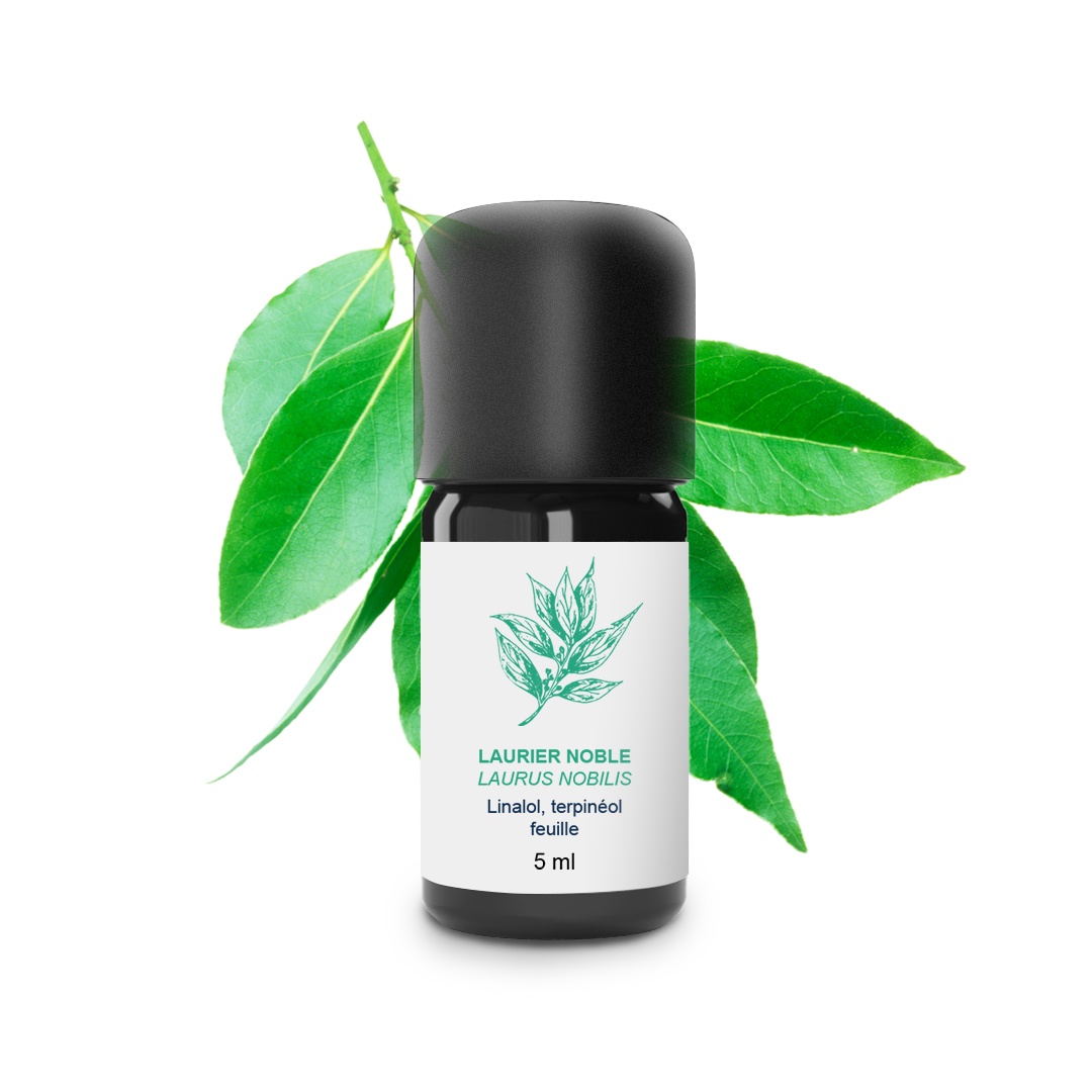 Olio essenziale di alloro 100% biologico e artigianale