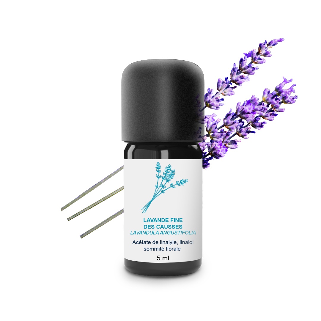 Lavender Essential Oil from the Causses 100% Organic and Handcrafted