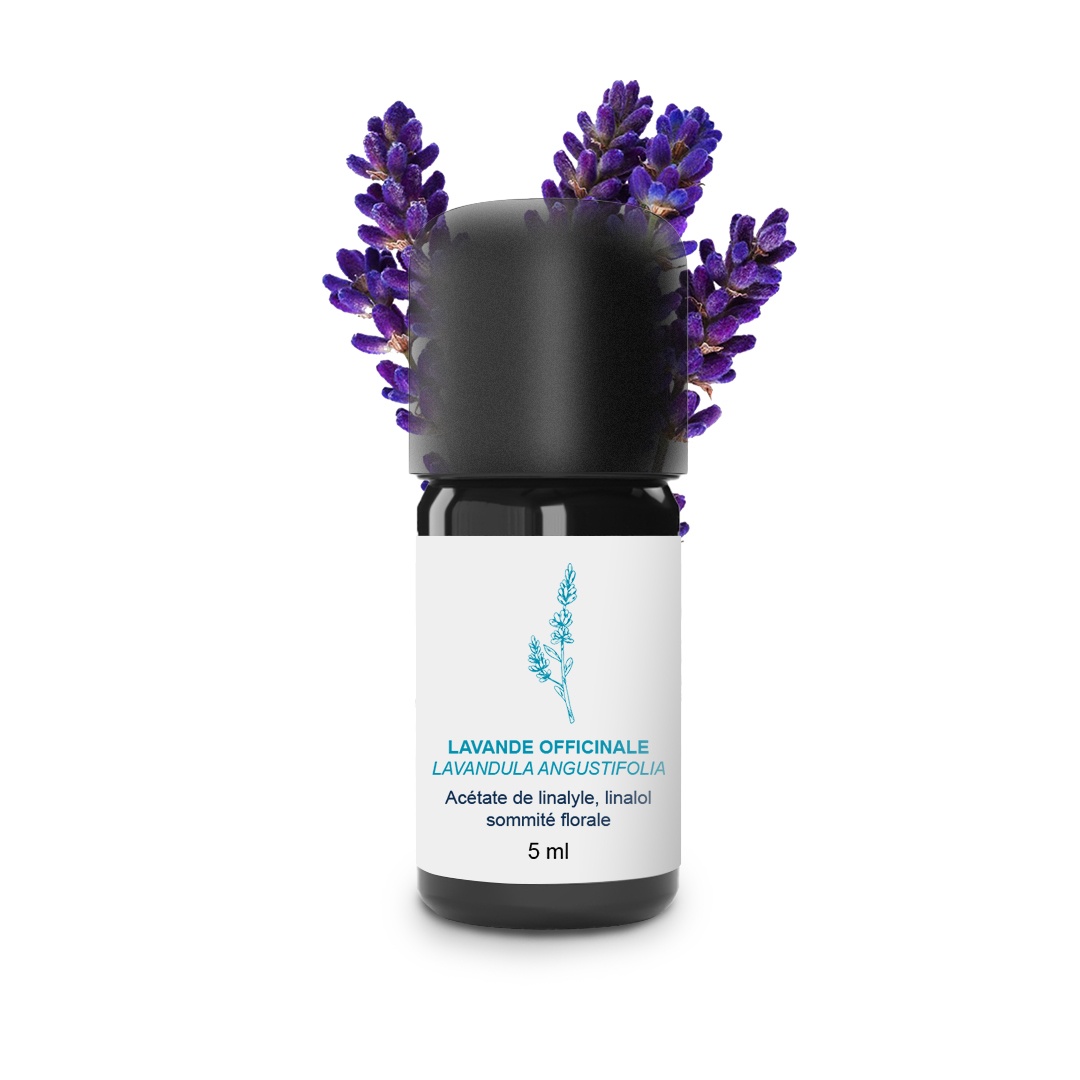 Aceite esencial de lavanda oficinal 100% ecológico y artesanal