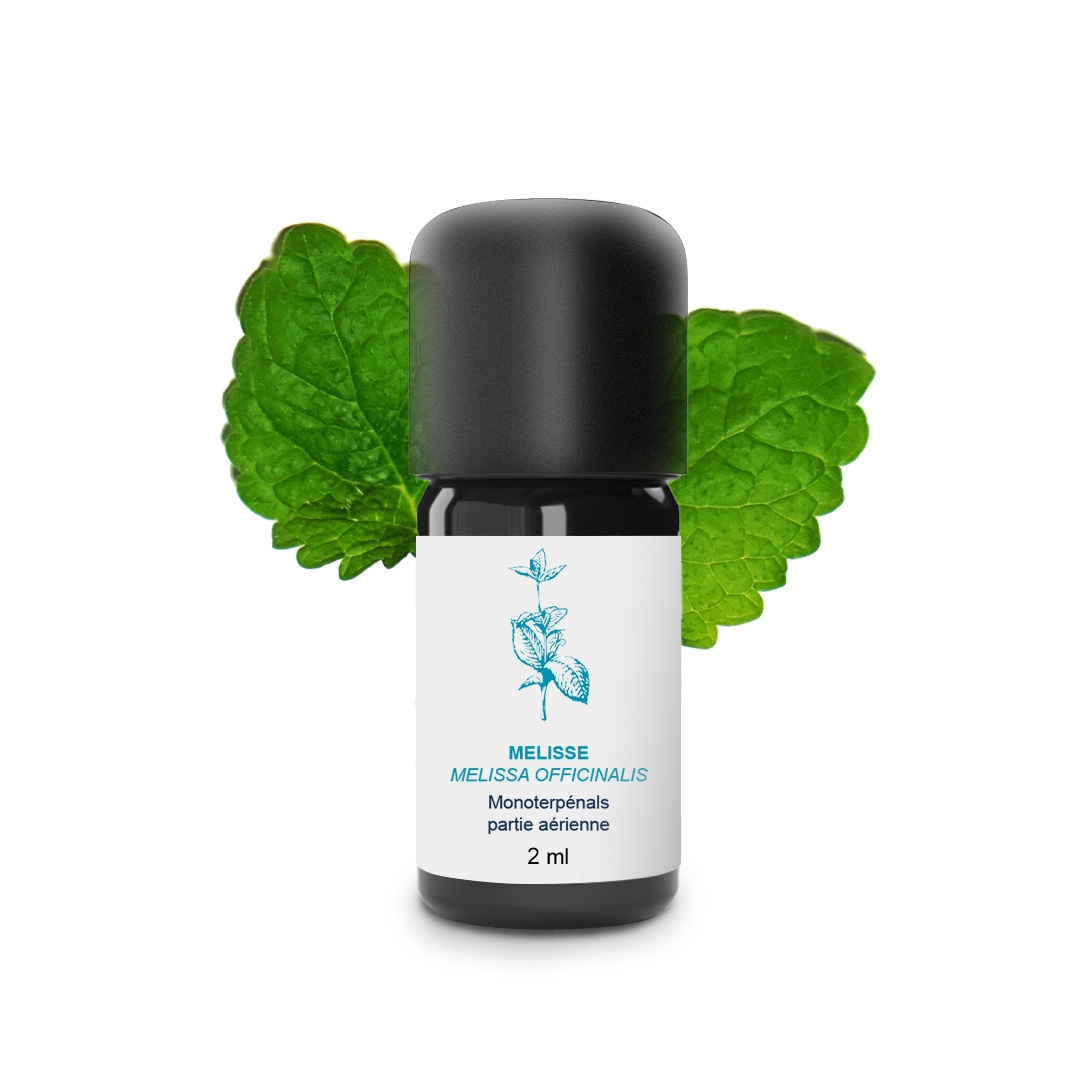 Huile Essentielle de Mélisse 100% Bio et Artisanal