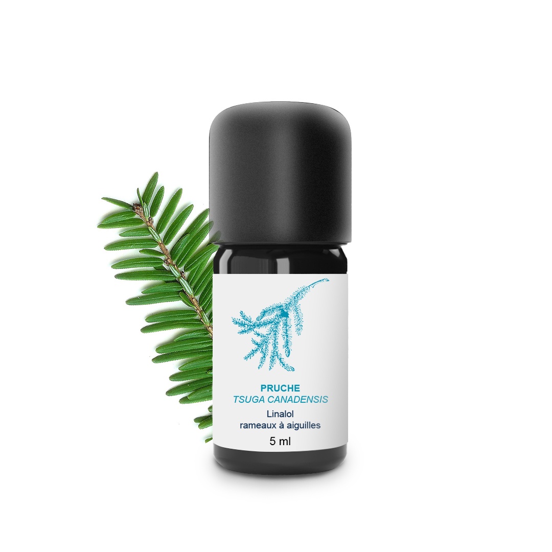 Aceite esencial de cicuta 100% ecológico y artesanal