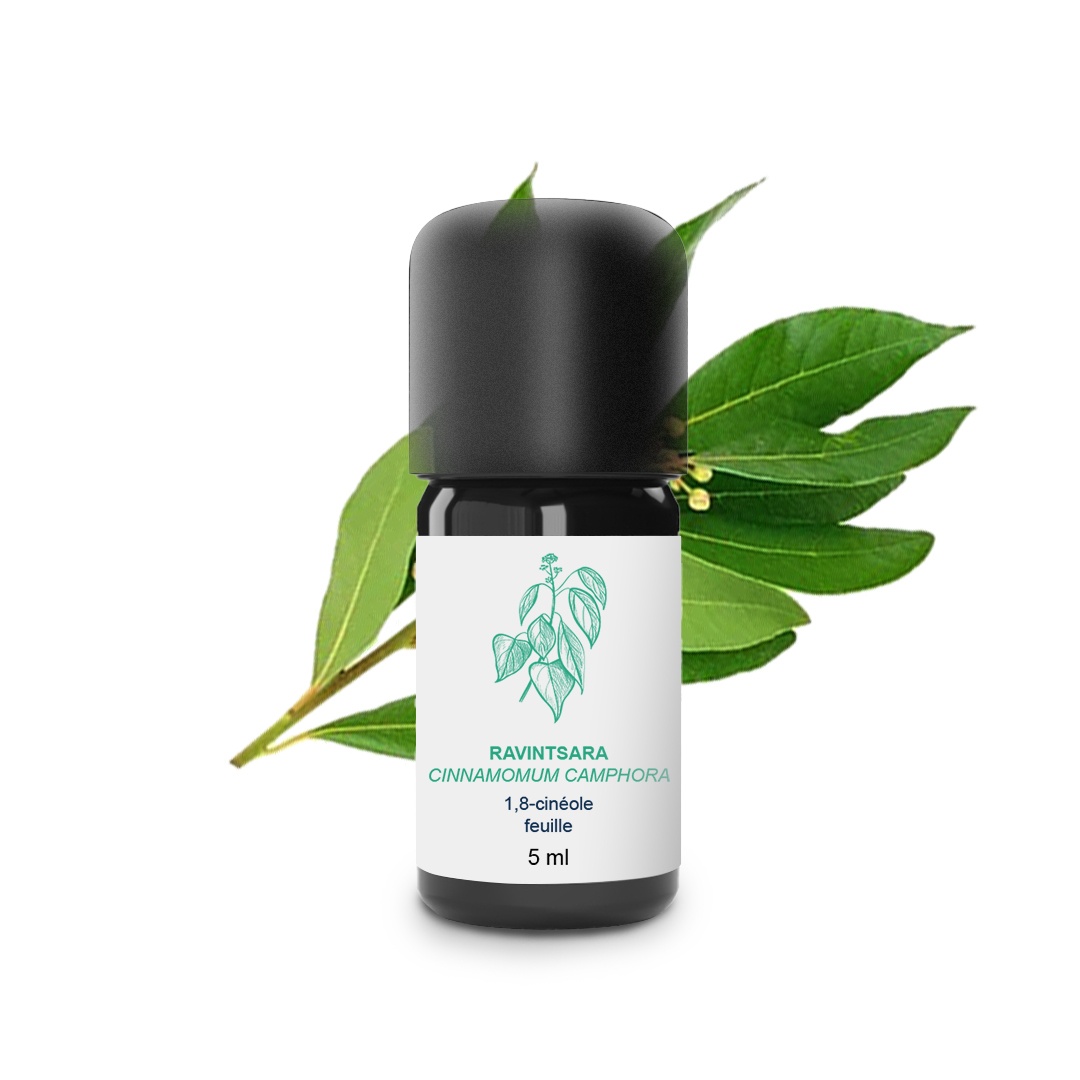 Aceite esencial de Ravintsara 100% orgánico y artesanal