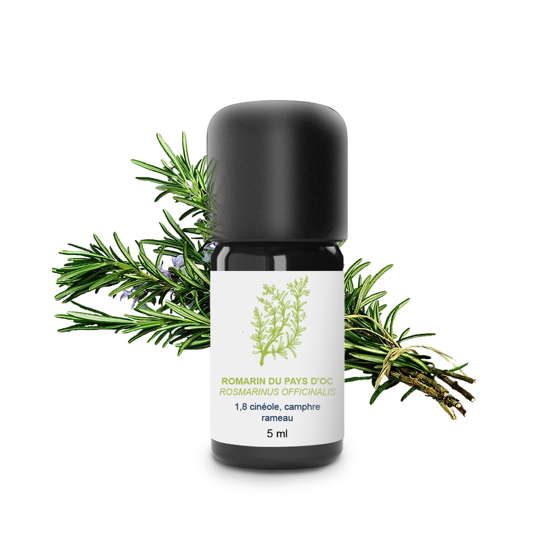 Rosemary Essential Oil from Pays d'Oc 100% Organic and Handcrafted