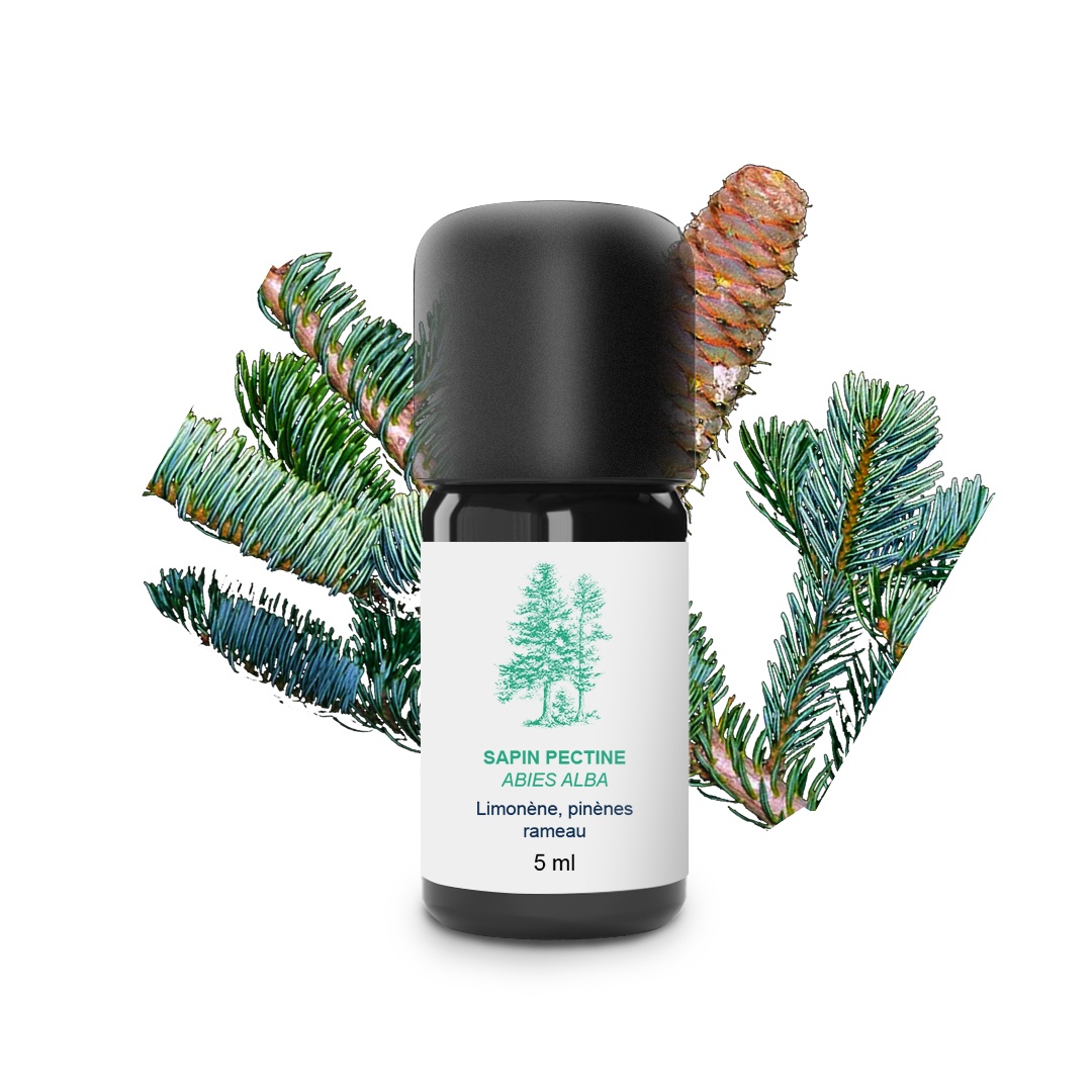Pectin Fir Essential Oil 100% Organic and Handcrafted