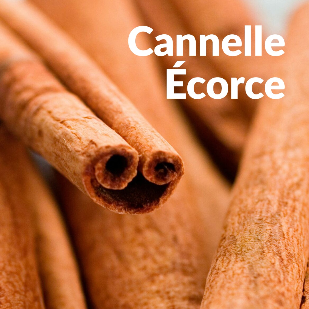 Cannella (corteccia)