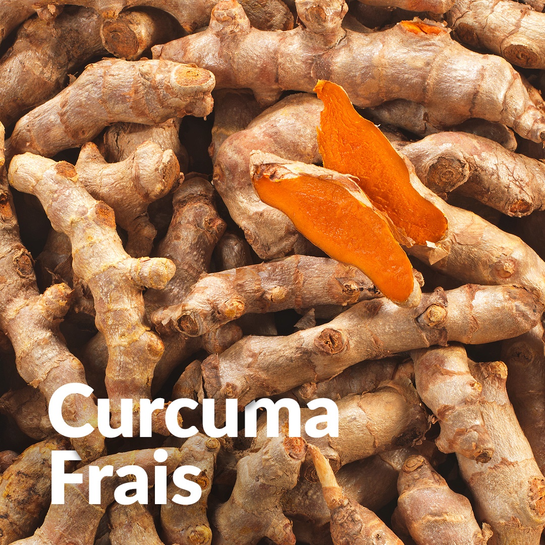 Curcuma (rizoma)