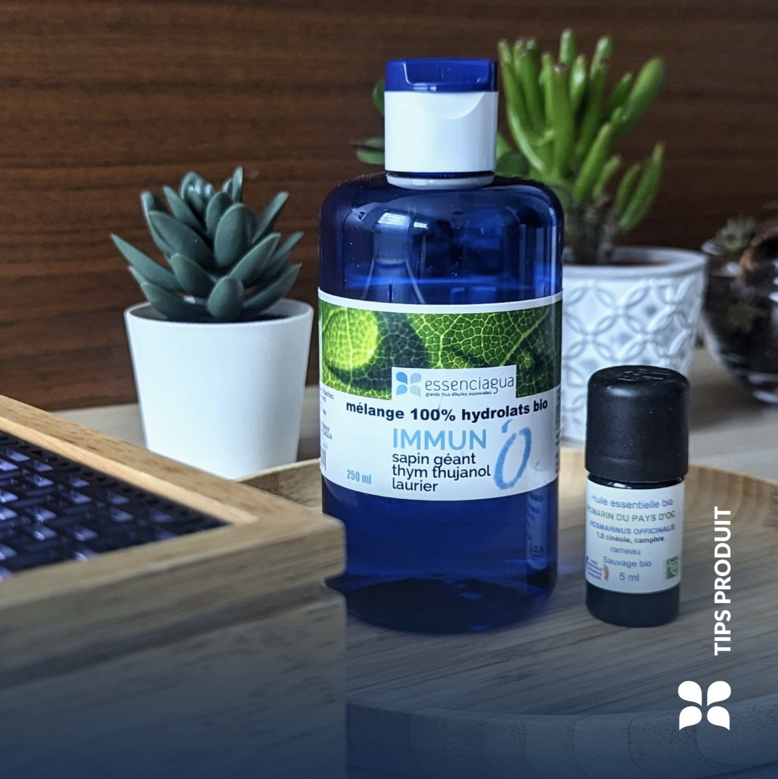 Home Diffusion Boost your immunity naturally