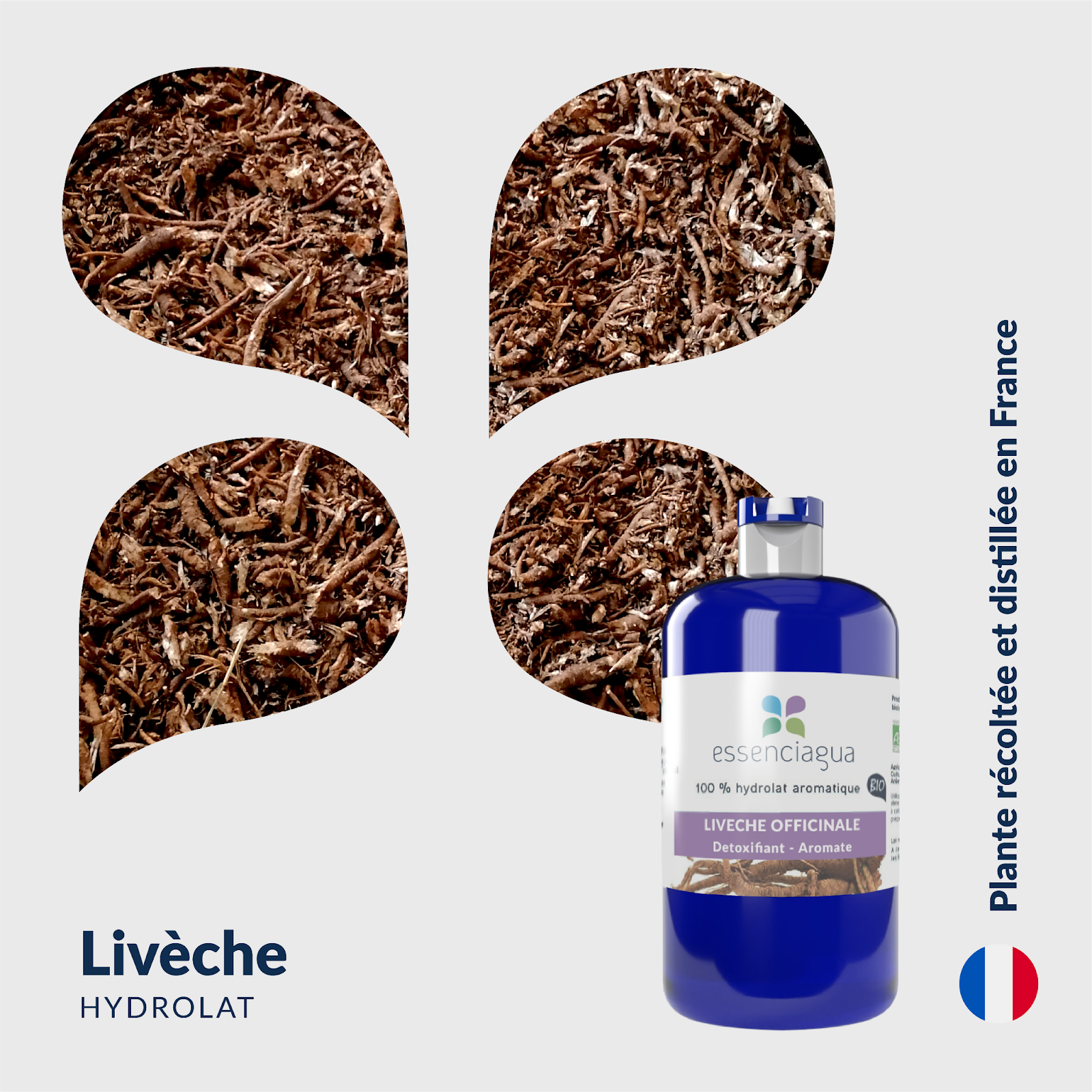 Focus produit Hydrolat Livèche