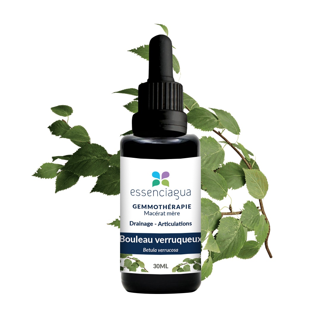 Macérat de bourgeons bio Bouleau verruqueux 100% Bio et Artisanal