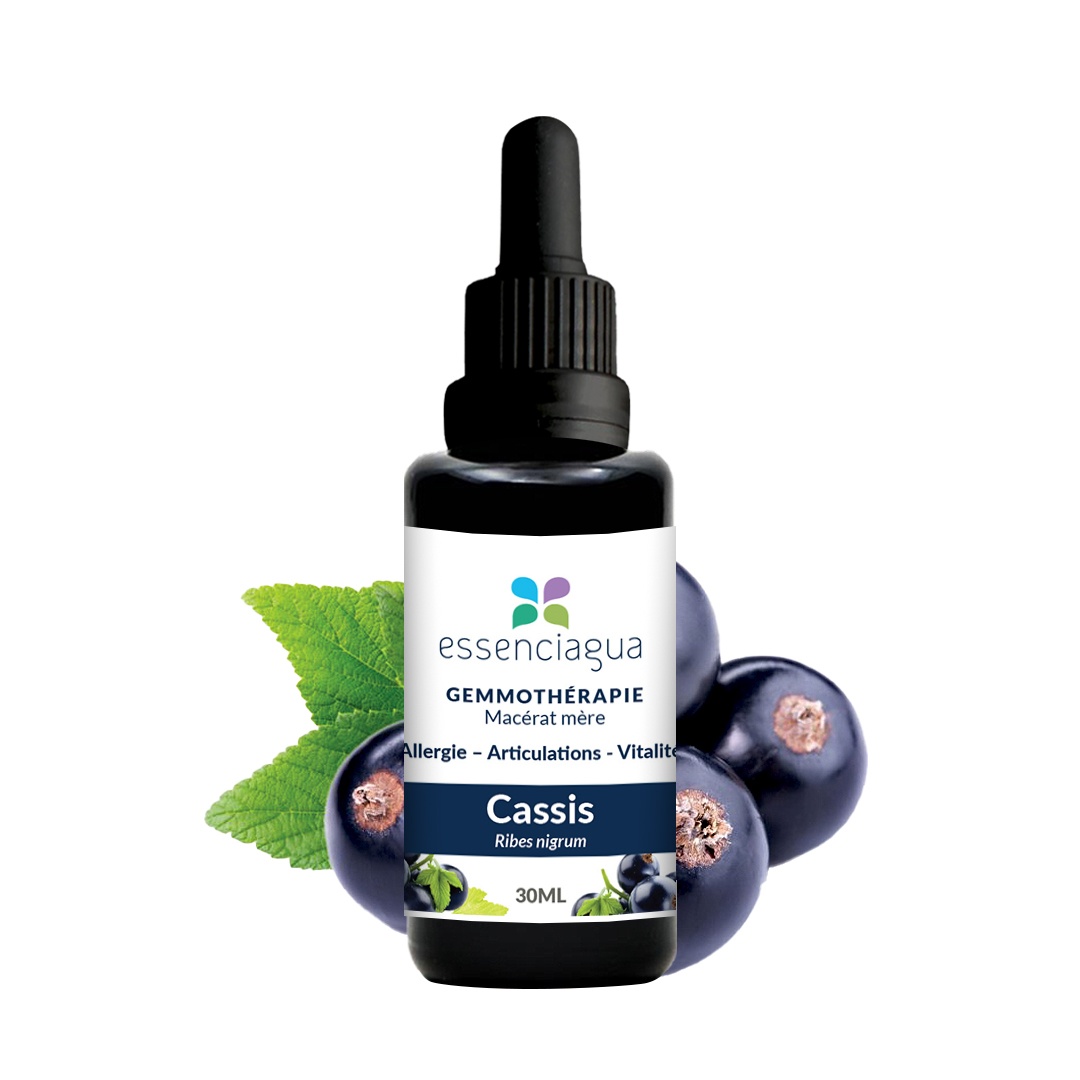 Macerato di gemme di ribes nero 100% biologico e artigianale