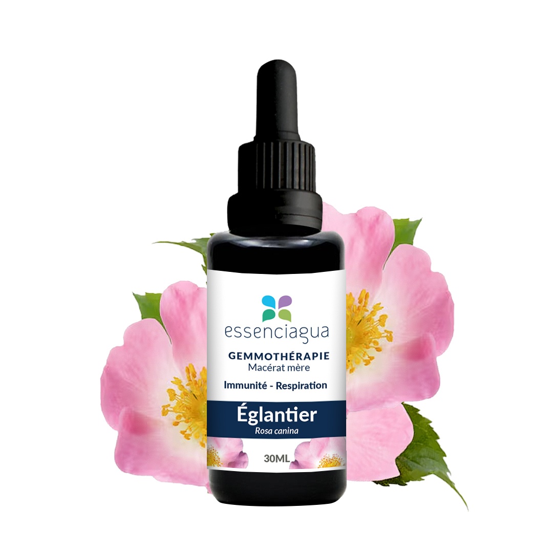 Rosehip organic bud macerate 100% organic and handcrafted