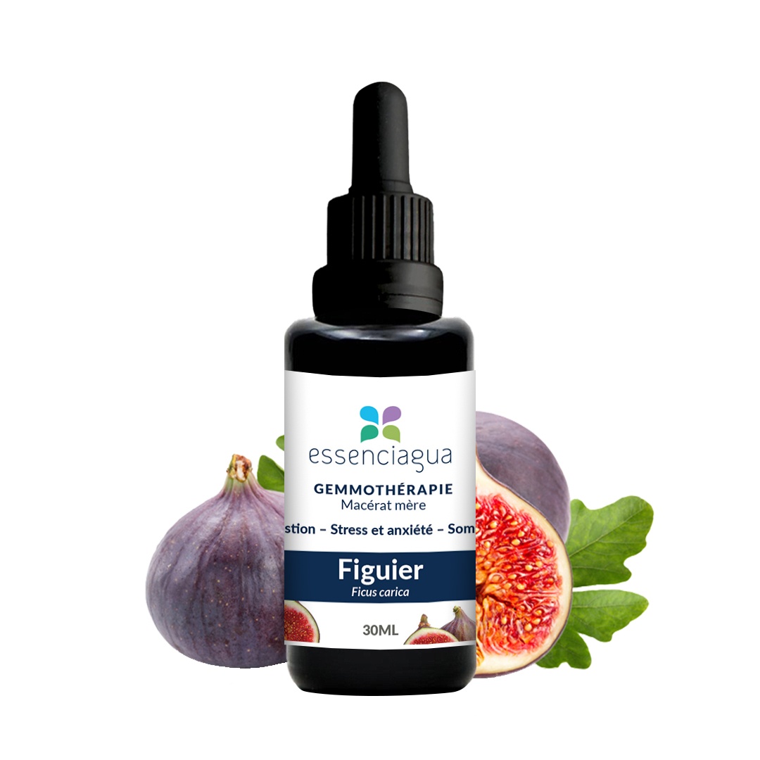 Macerato di gemme di fico 100% biologico e artigianale