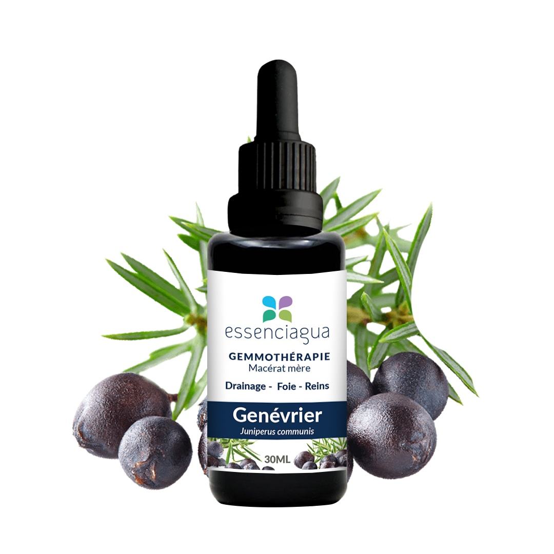 Macérat de bourgeons bio Genévrier 100% Bio et Artisanal