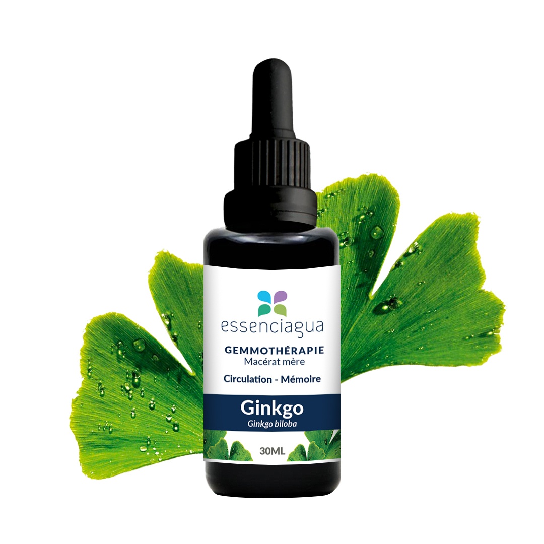 Ginkgo bud macerate 100% organic and handcrafted