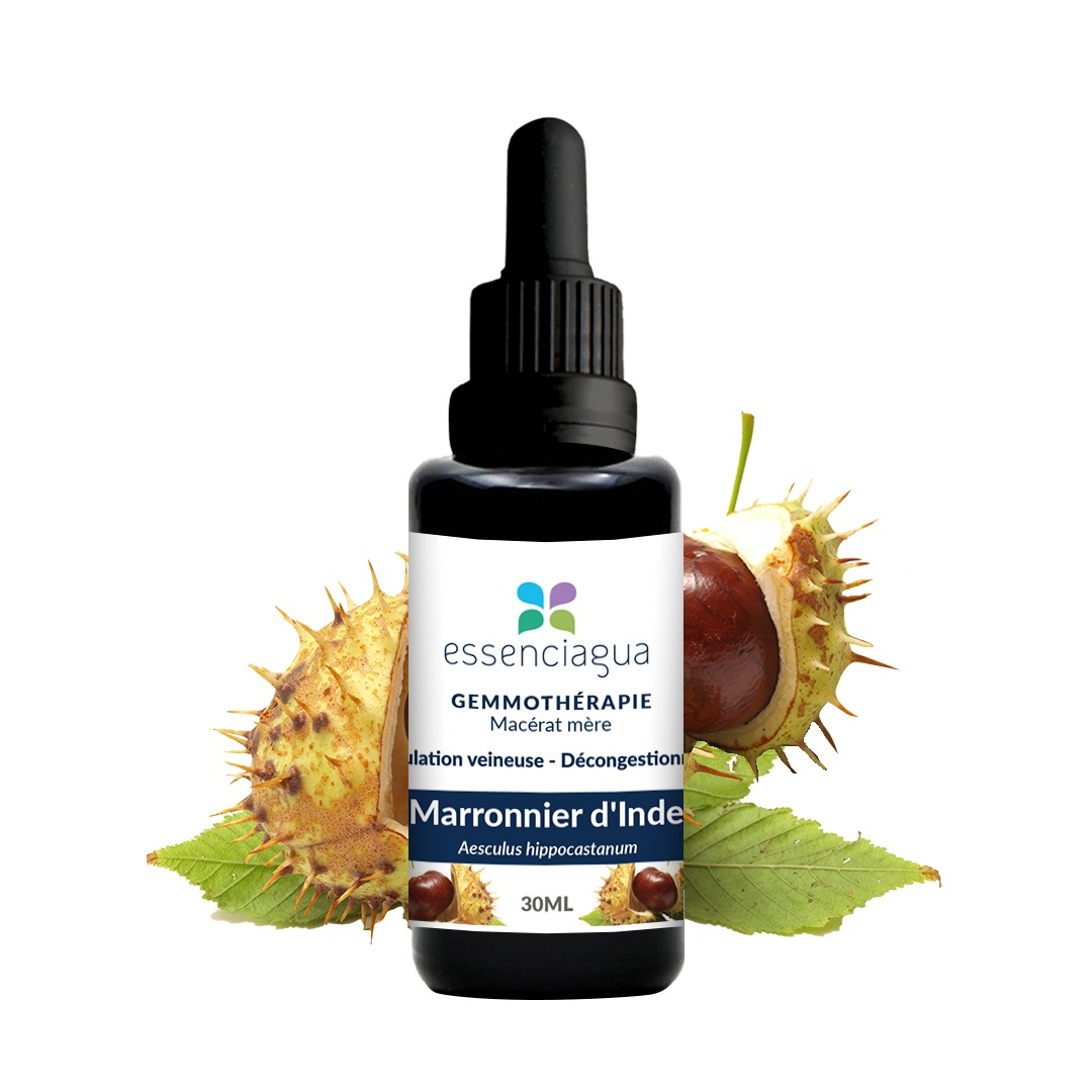 Macerato di gemme di ippocastano 100% biologico e artigianale