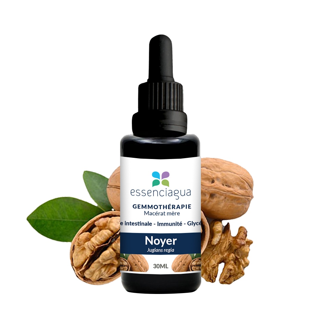 Walnut bud macerate 100% organic and handcrafted