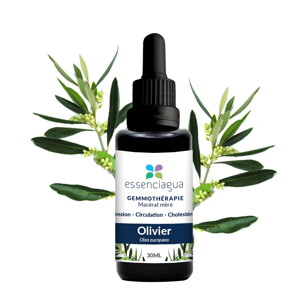 Macerado de capullos de aceituna 100% ecológico y artesanal