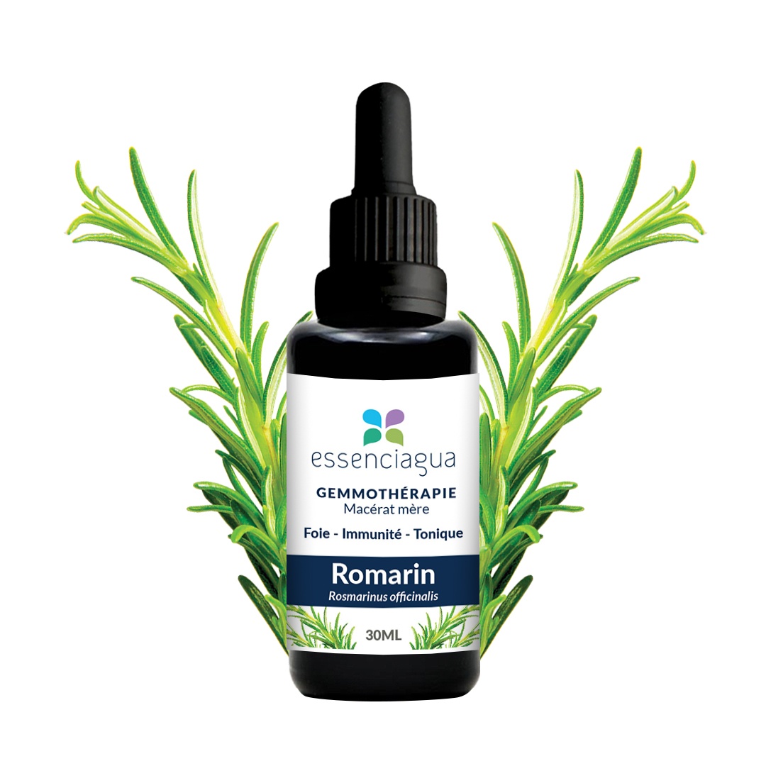 Macerado de brotes de romero 100% ecológico y artesanal