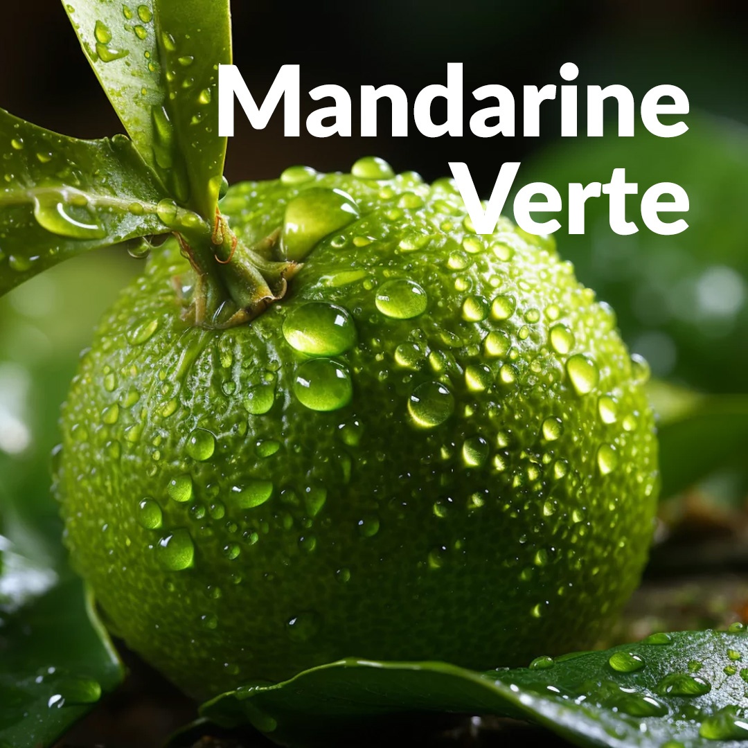 Mandarino verde