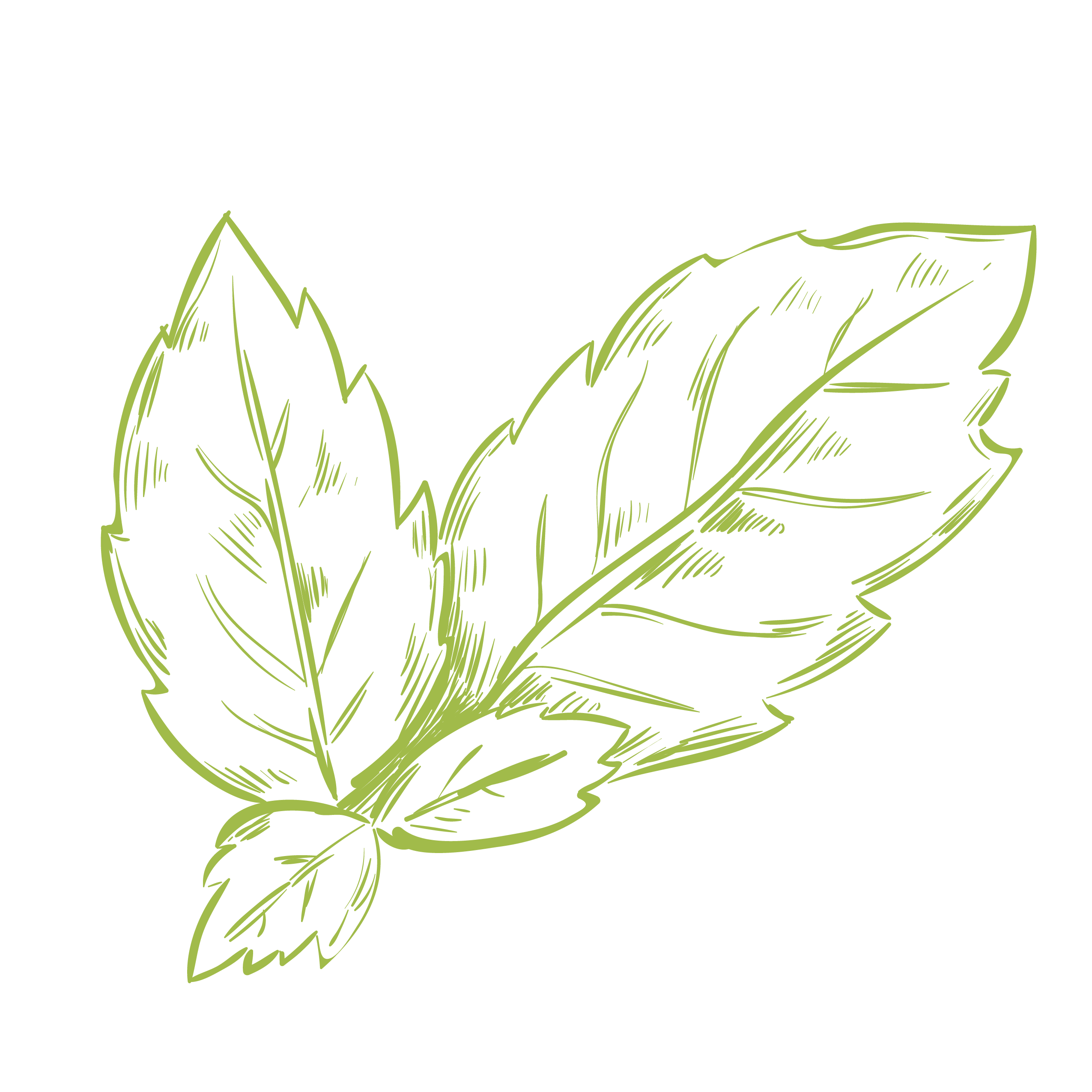 Cuando tengo náuseas