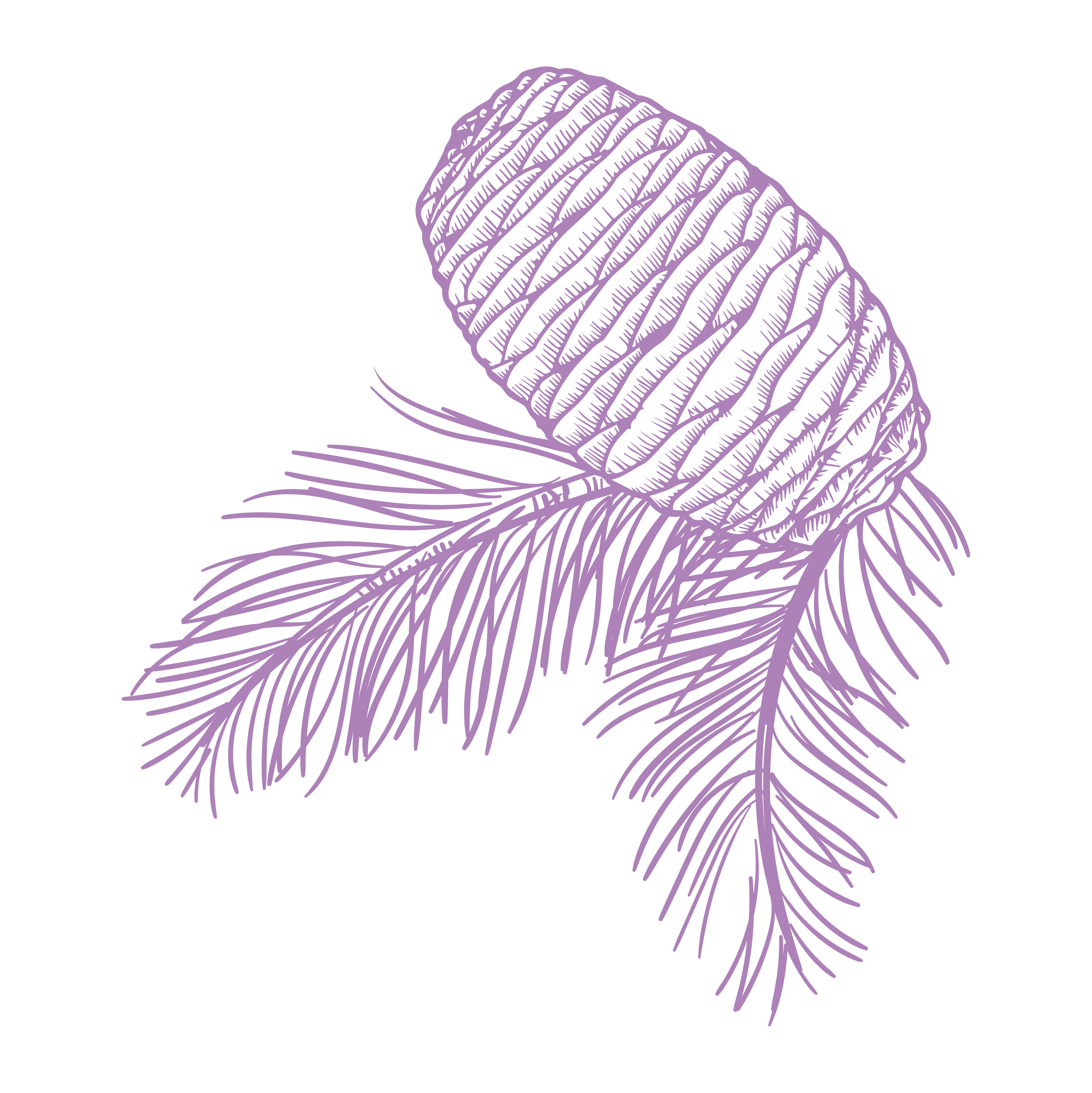 Cuando tengo la piel grasa