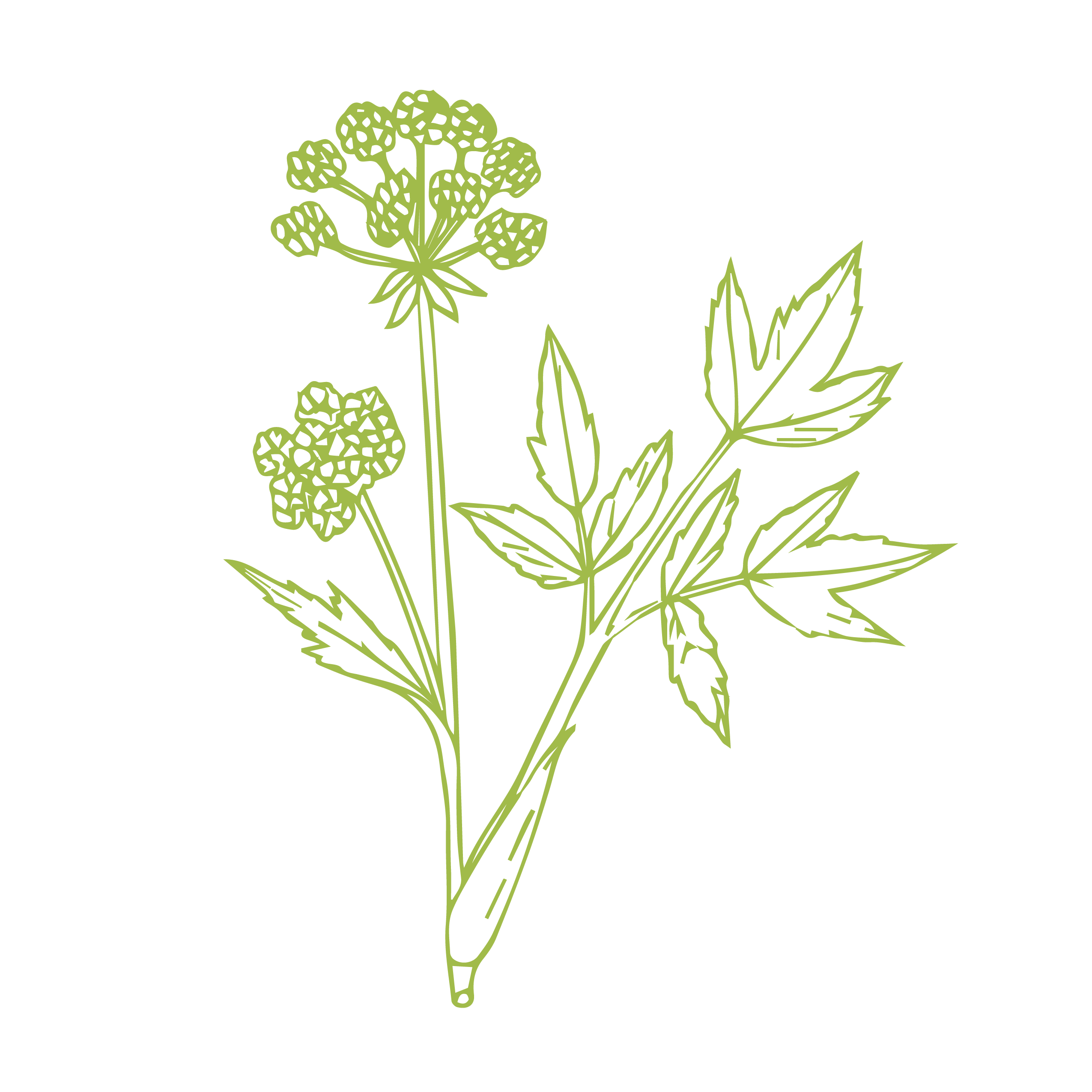 Cuando mi hígado está cansado