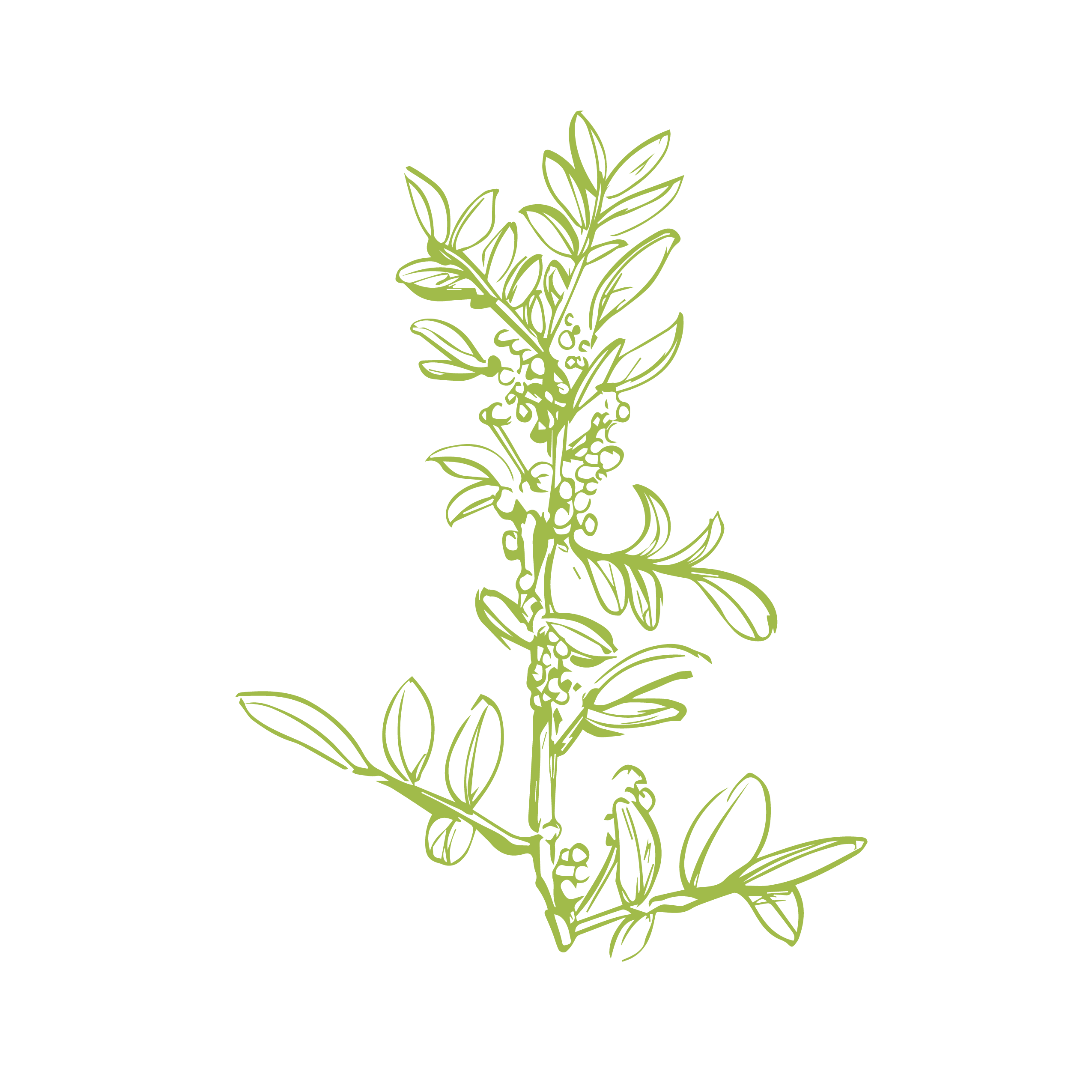 Quand j’ai les jambes lourdes