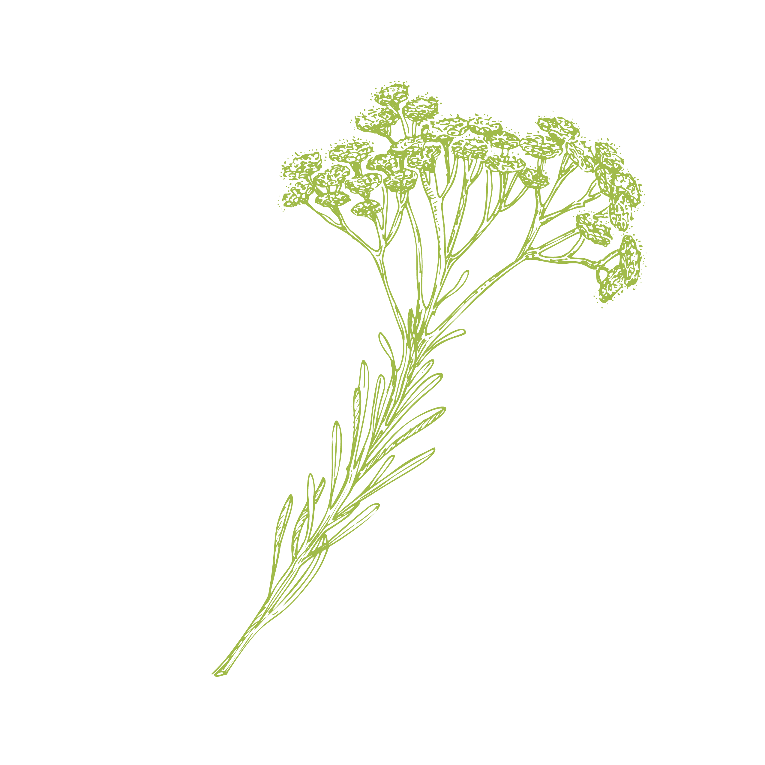 Quand j’ai les pieds et les mains froids - maladie de Raynaud