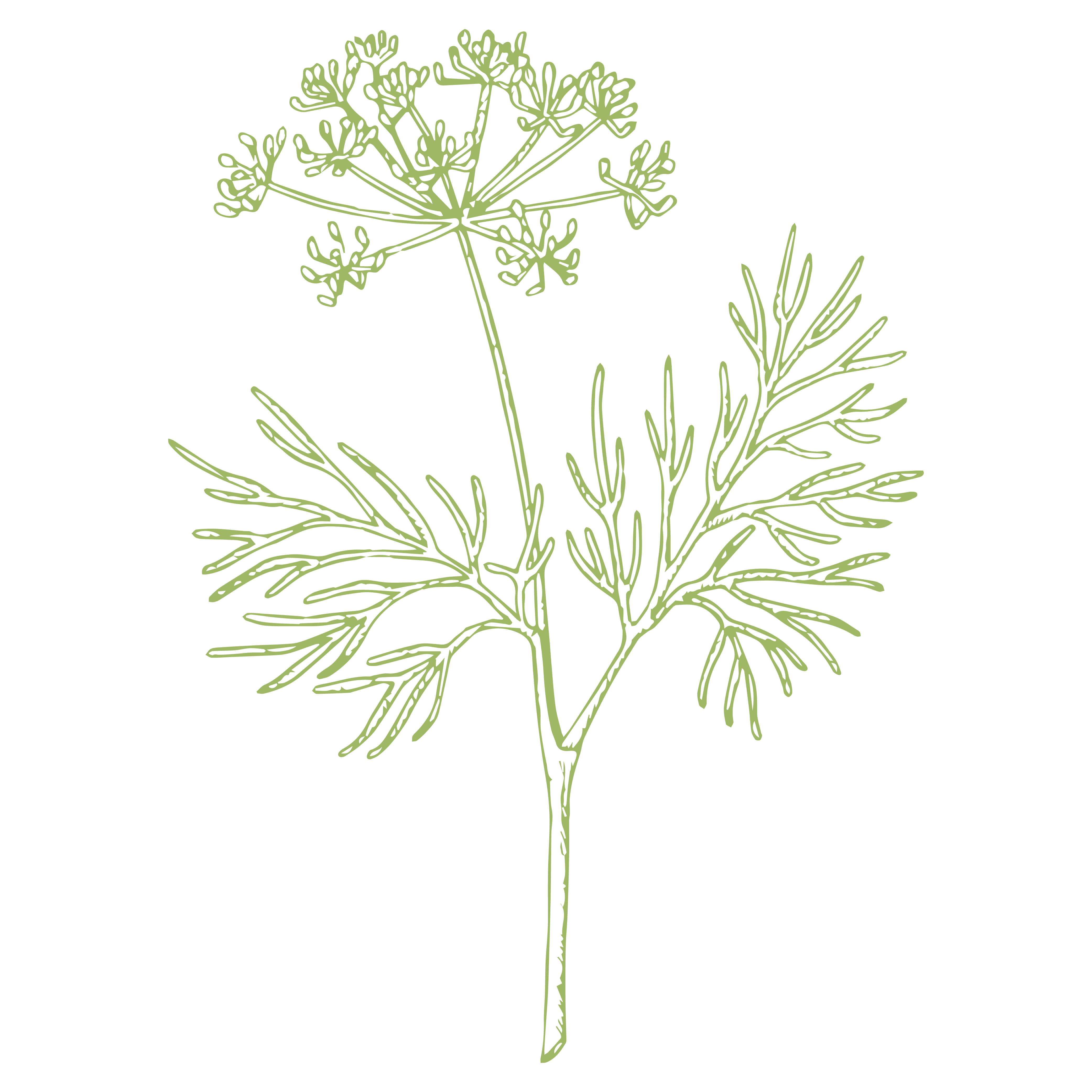 Quando ho l'alito cattivo