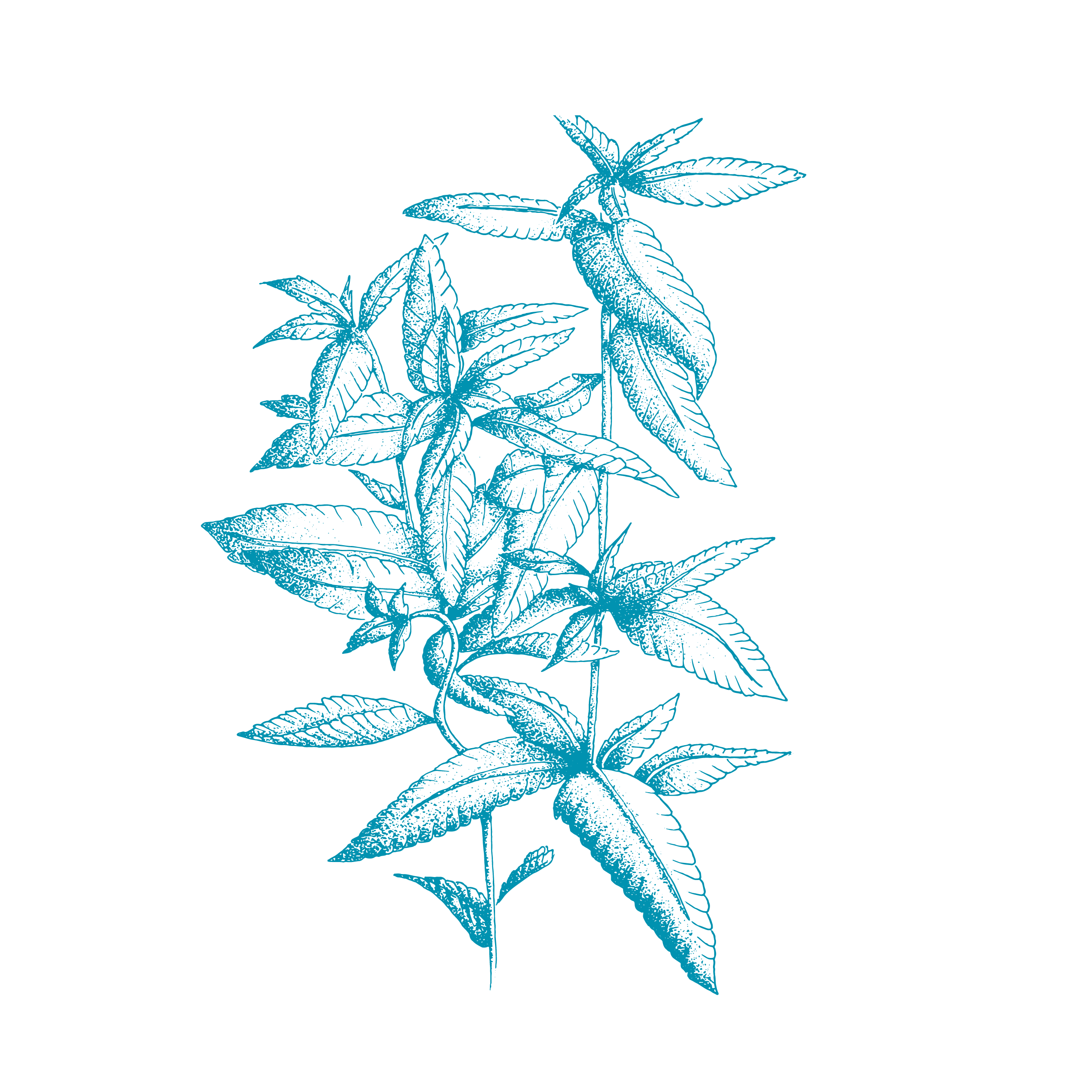 When I feel stressed