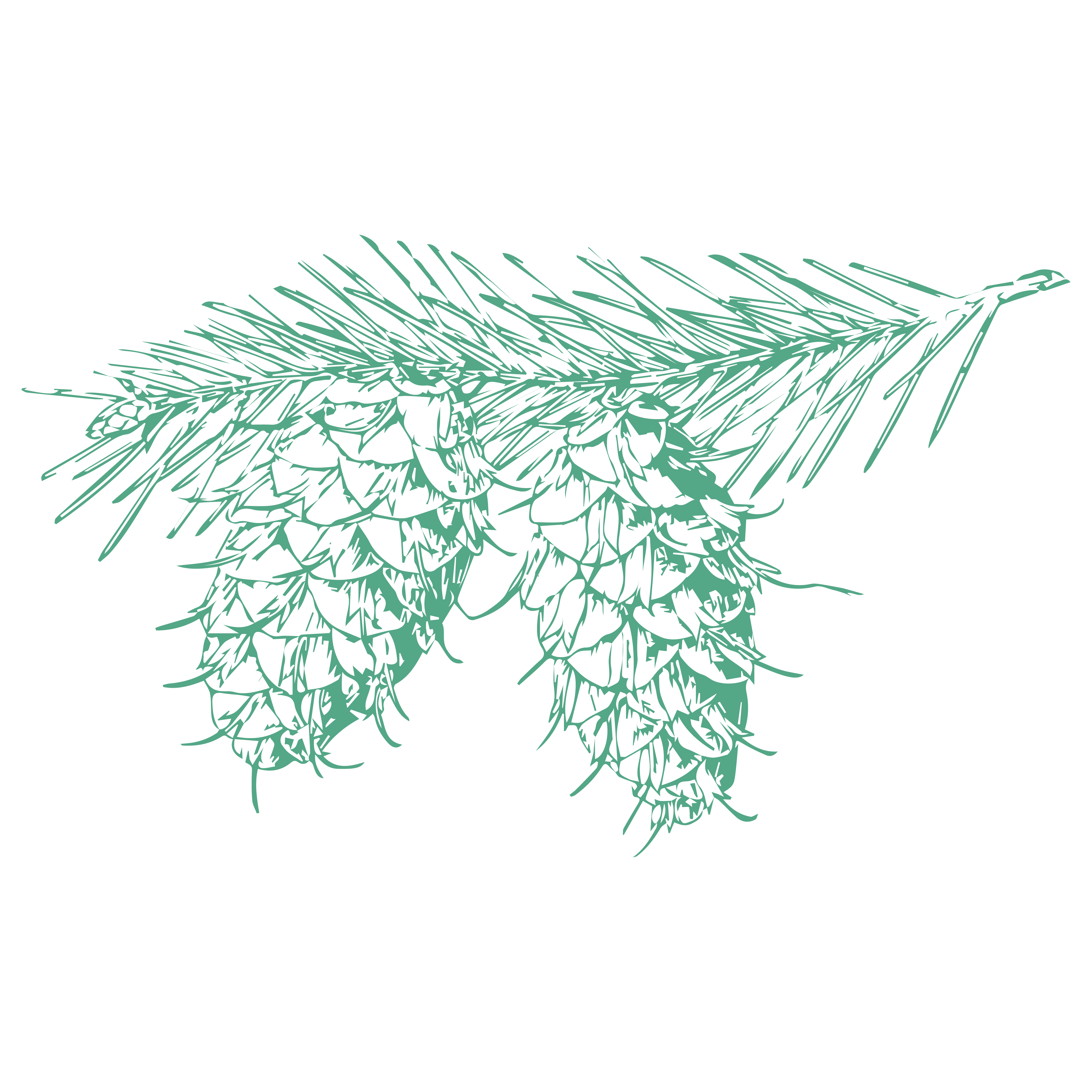 When I have athlete's foot