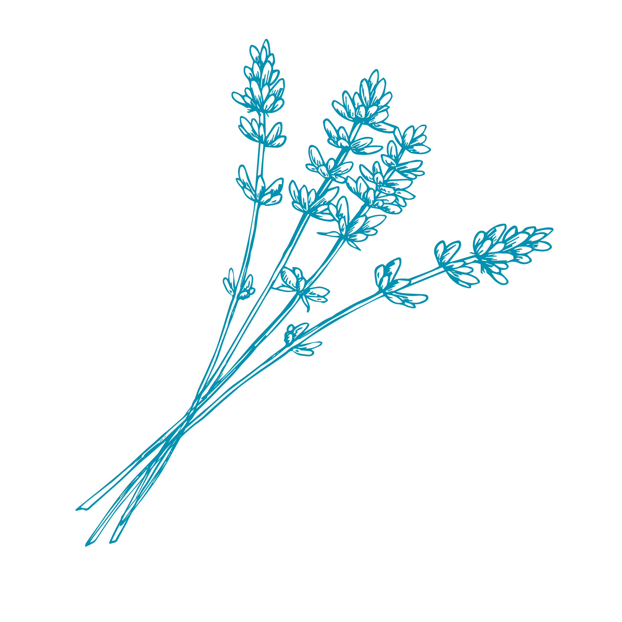 Cuando tengo una herida o quemadura