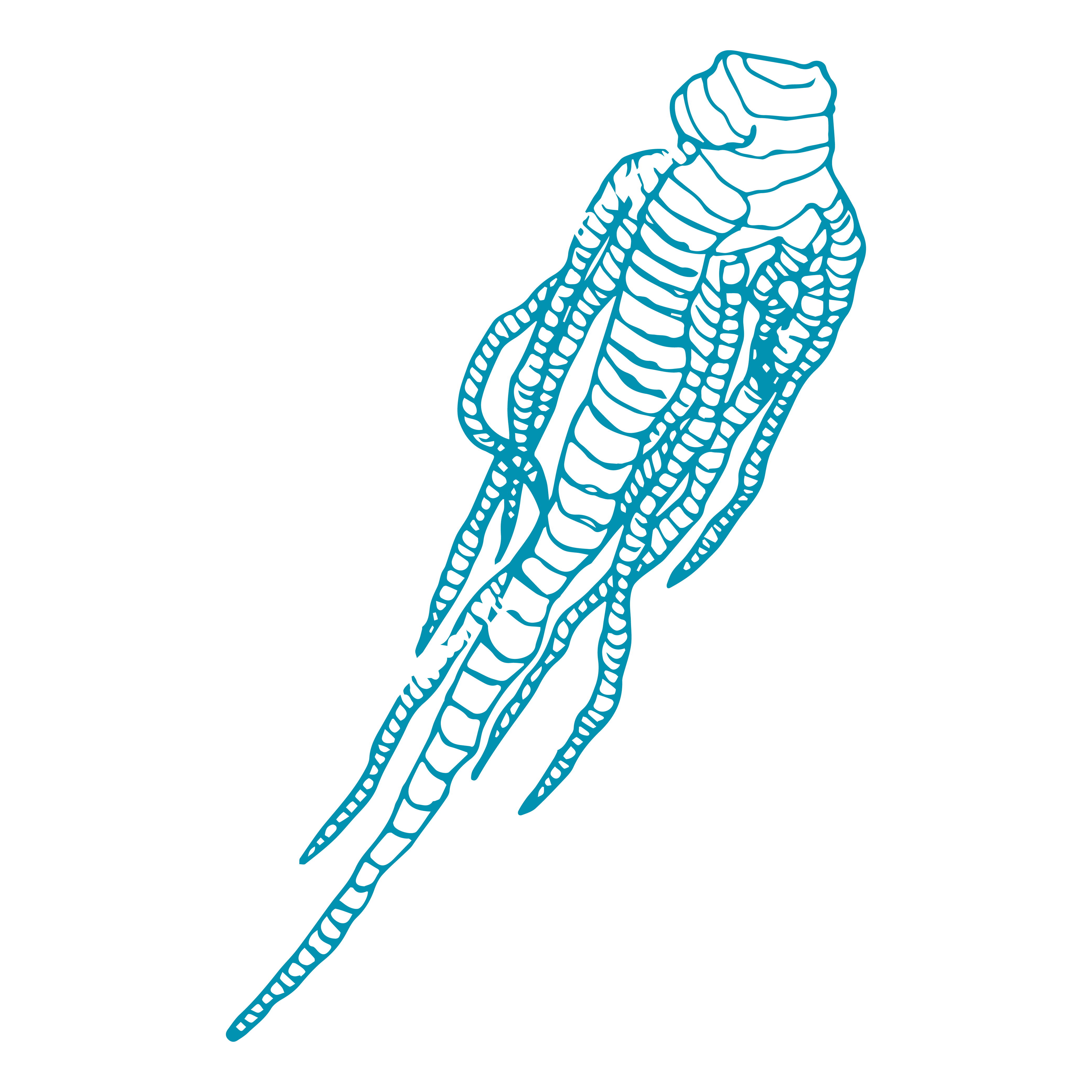 Quando combatto la stanchezza nervosa