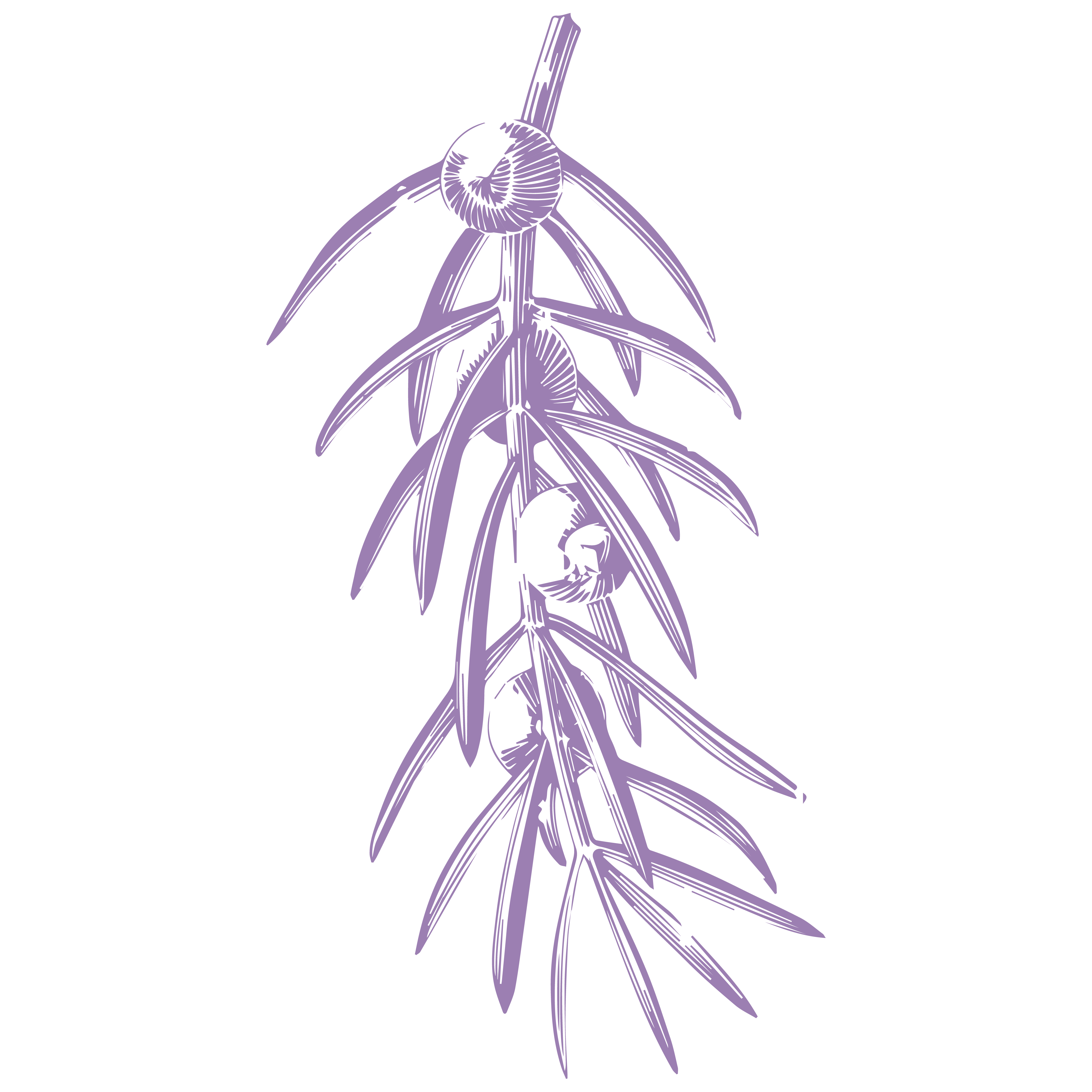 Cuando quiero combatir la celulitis