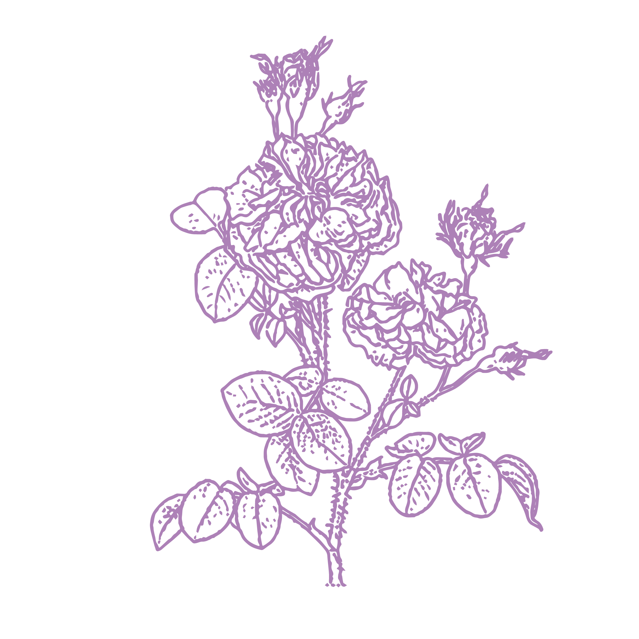 When I want to fight wrinkles