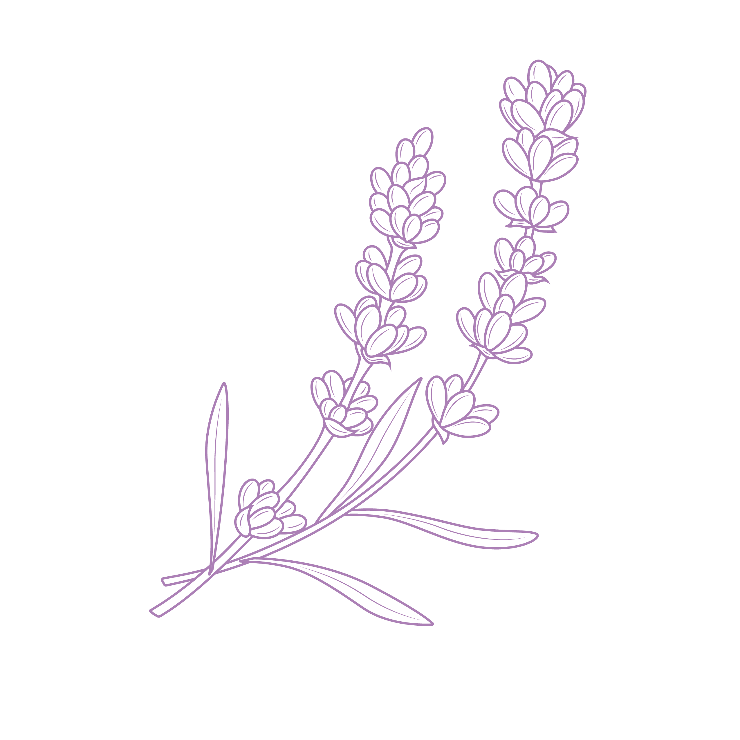 Cuando llegan los piojos