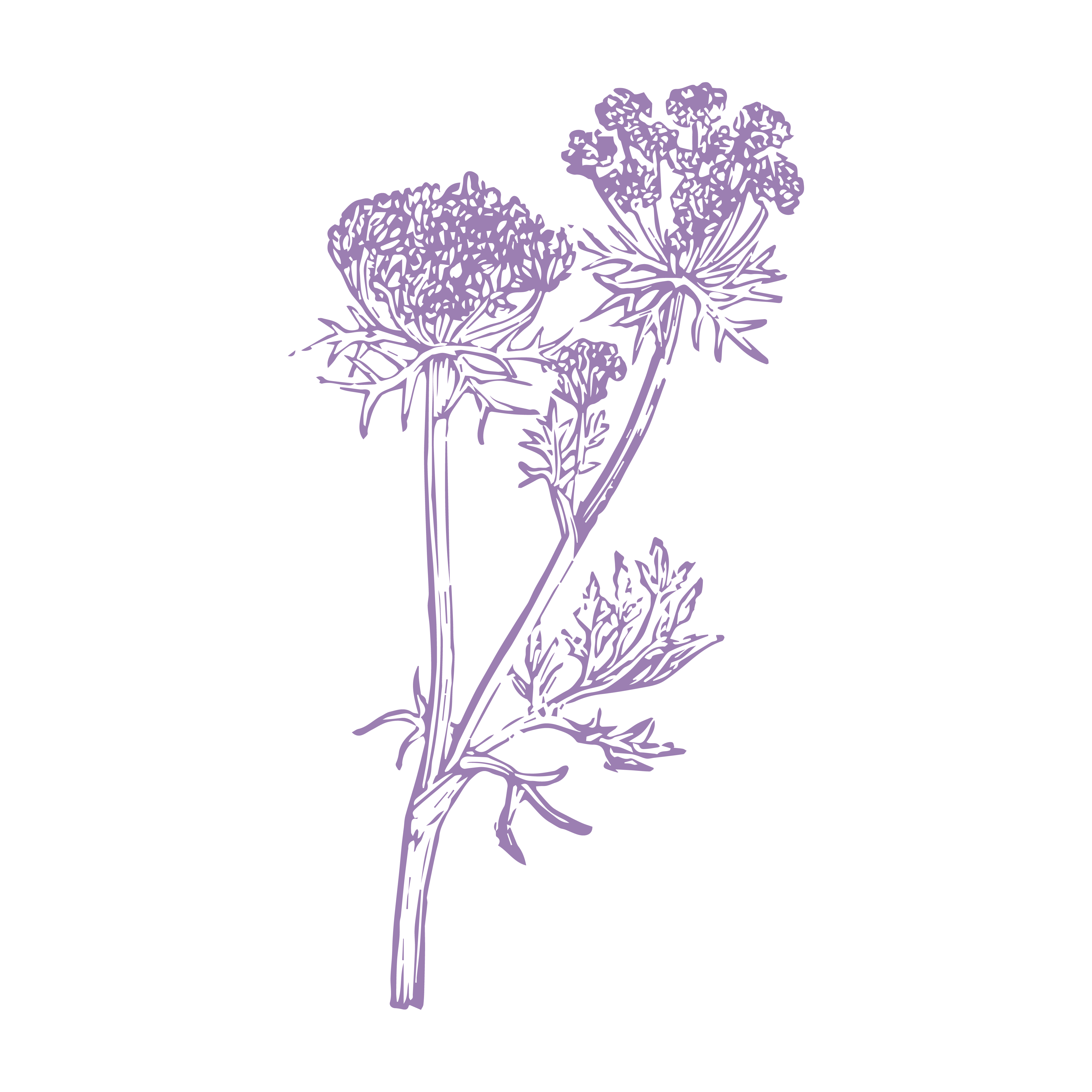 Cuando mi piel carece de luminosidad