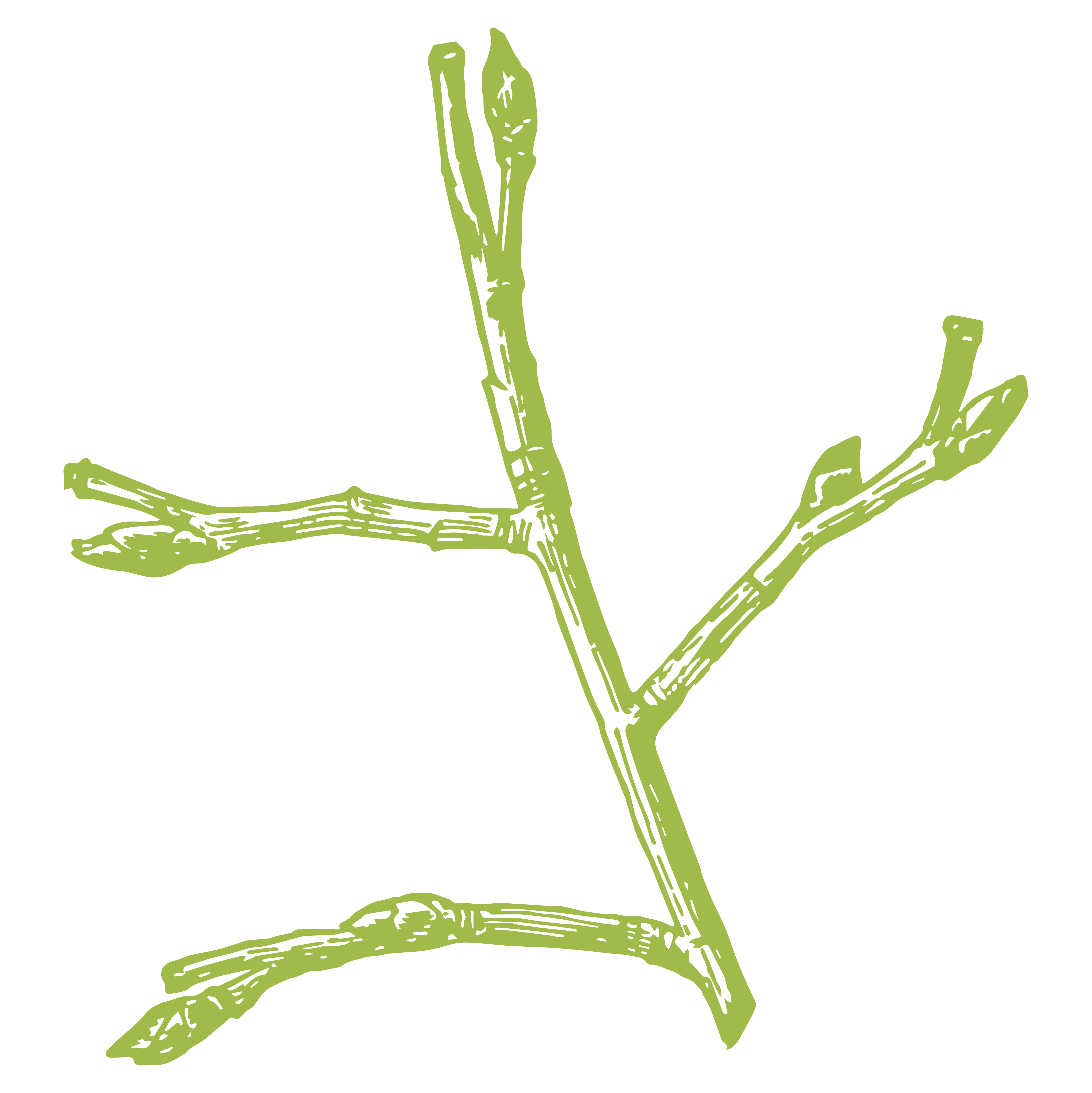 Cuando tiene dolor en las articulaciones