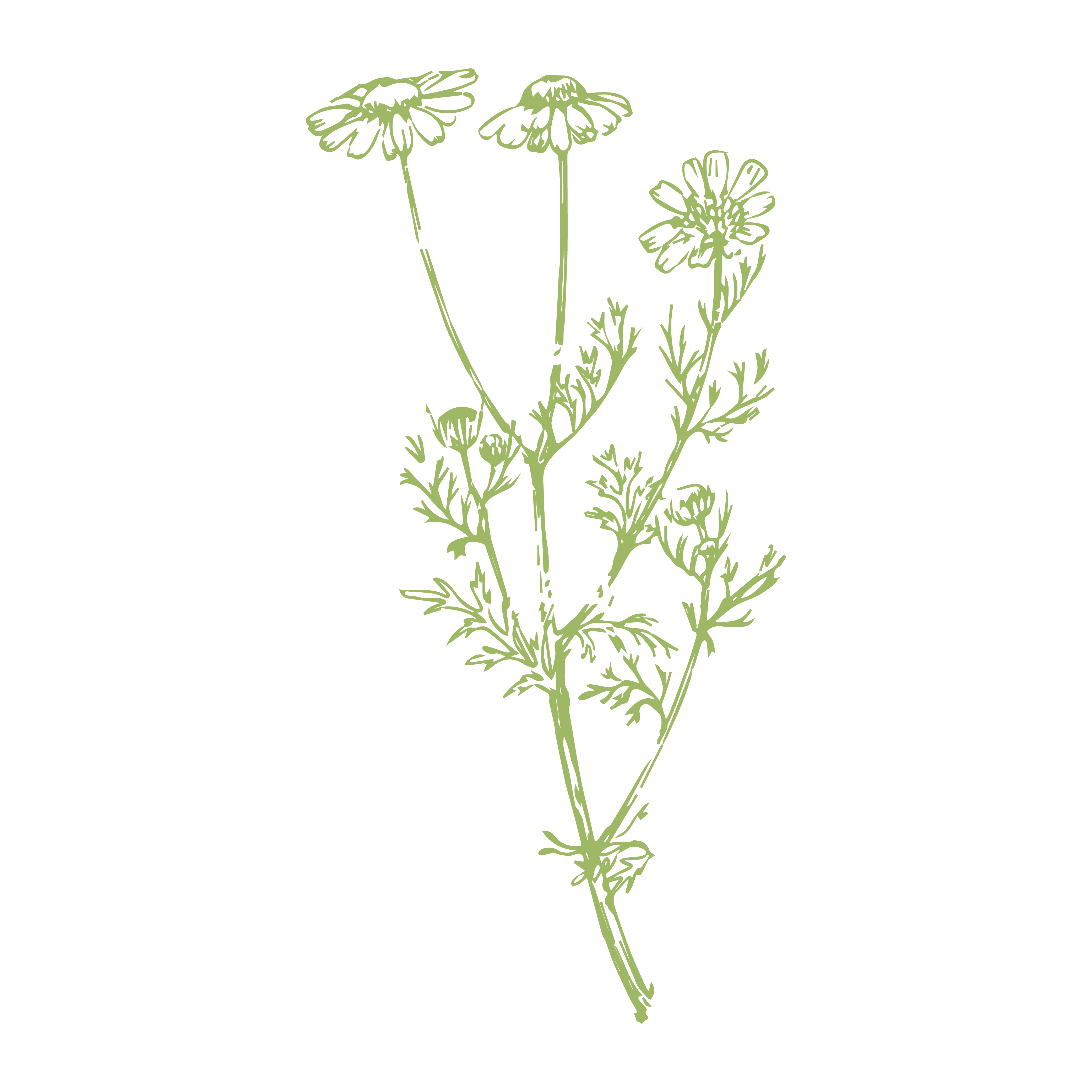 Quand on veut nettoyer la peau et les fesses des petits