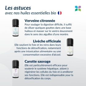 Raccomandazioni per la disintossicazione di primavera