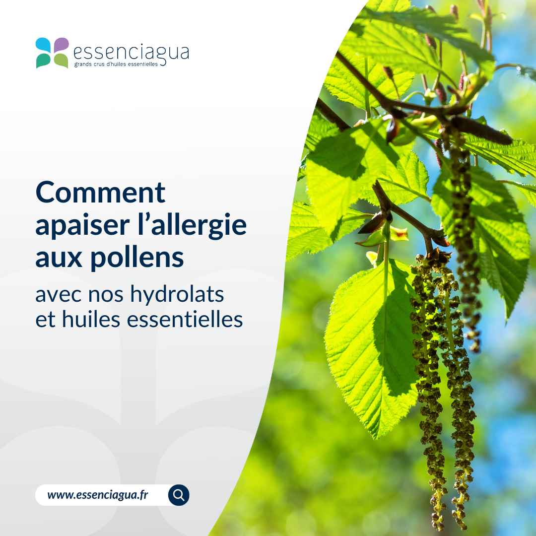 Recommandation HA anti-allergie