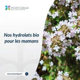 Raccomandazione HA per le madri